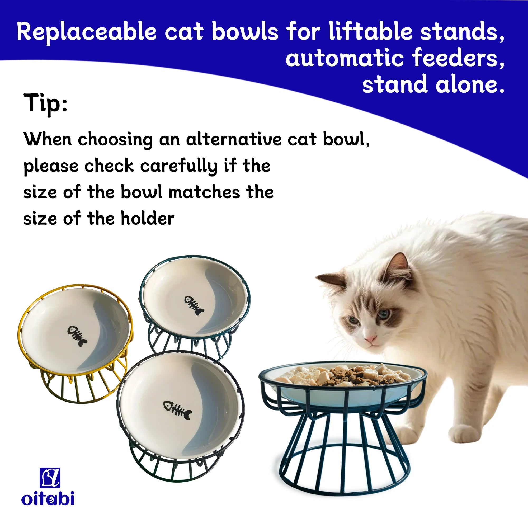 Oitabi 3PCS Cat Food Bowl, Ceramic Cat Bowls, Anti Whisker Fatigue Cats Bowl Set, Shallow Wide Kitten Plates for Food and Water