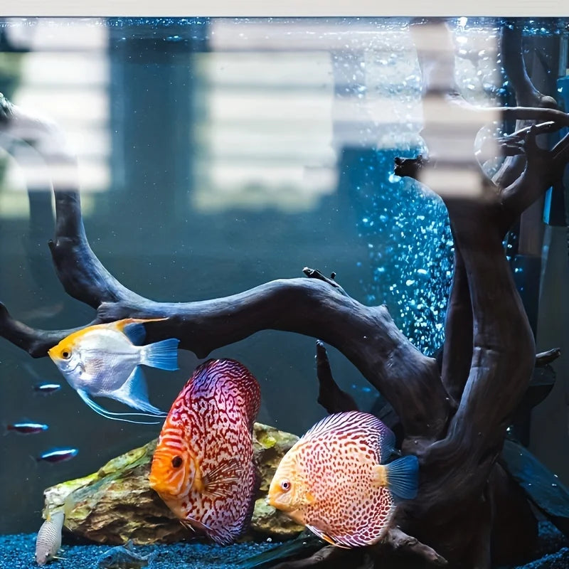 Tree Trunk Micro Landscape Reptile Cylinder Fish Tank Ornament Cuckoo Roots Aquarium Decoration Natural Driftwood Dead-wood