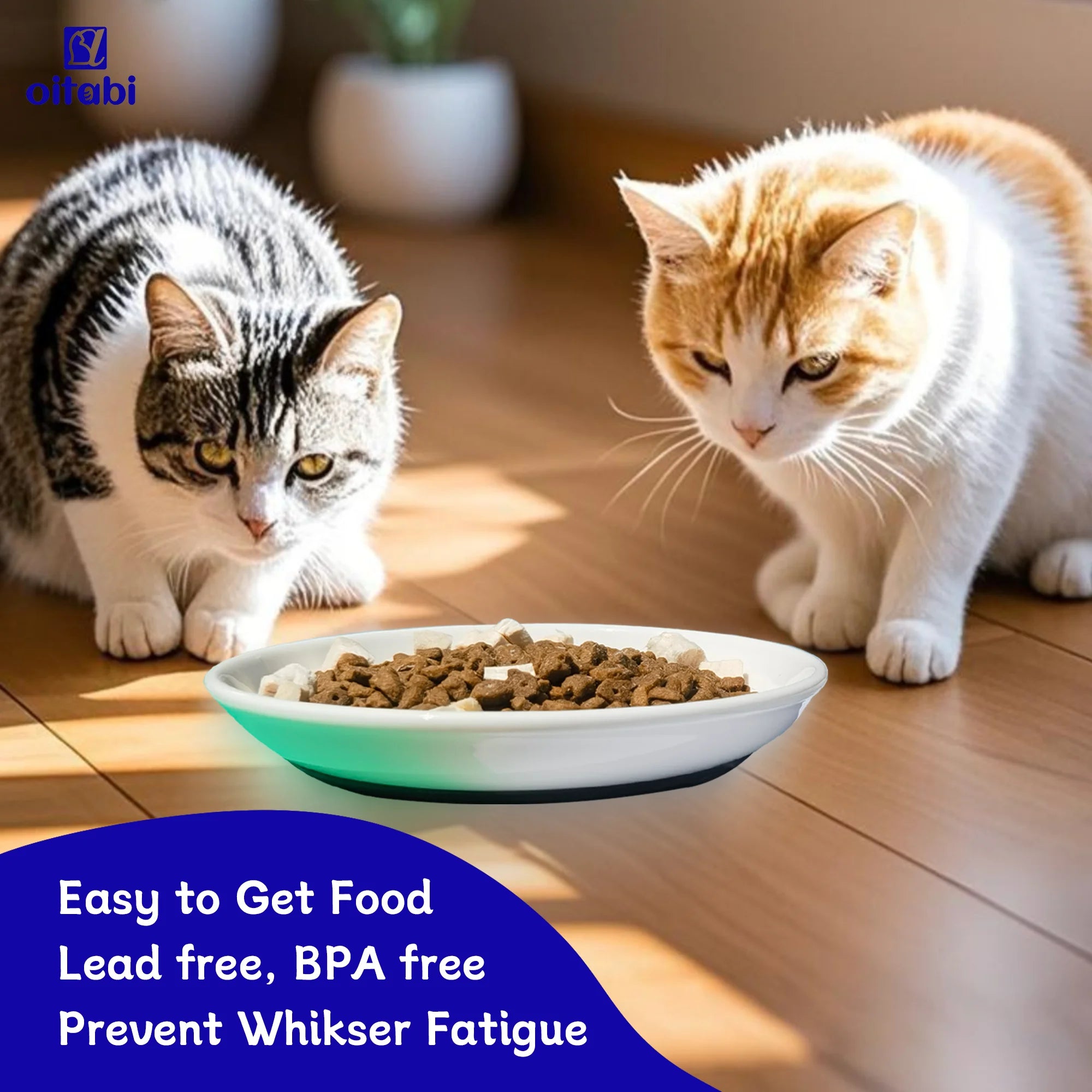 Oitabi 3PCS Cat Food Bowl, Ceramic Cat Bowls, Anti Whisker Fatigue Cats Bowl Set, Shallow Wide Kitten Plates for Food and Water