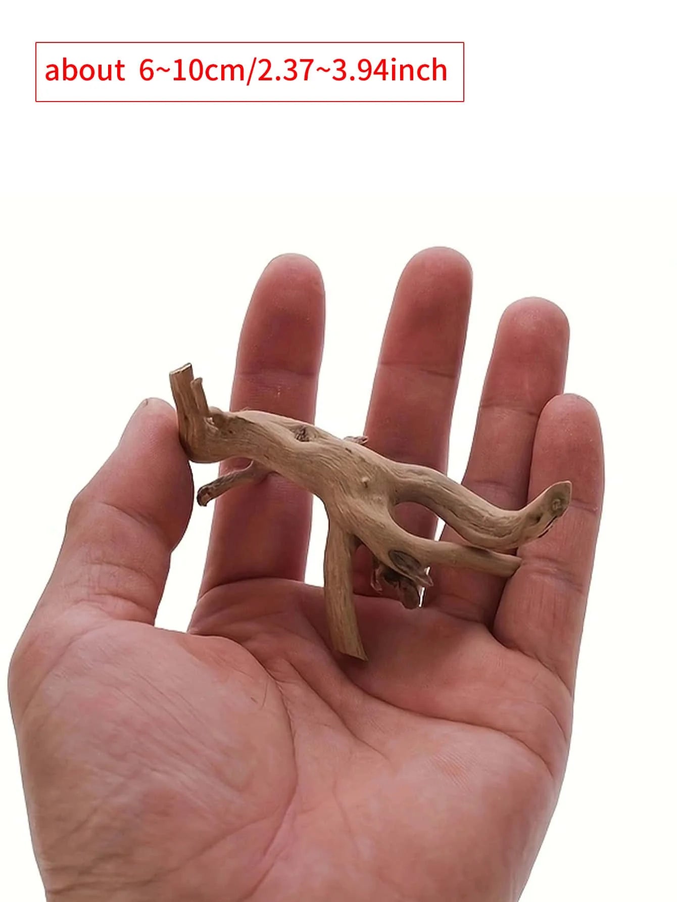 Tree Trunk Micro Landscape Reptile Cylinder Fish Tank Ornament Cuckoo Roots Aquarium Decoration Natural Driftwood Dead-wood