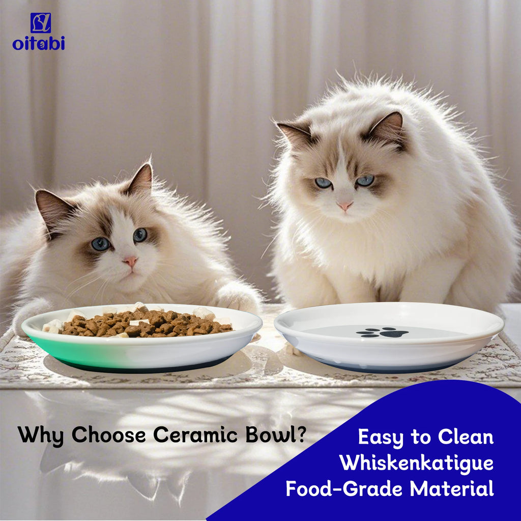 Oitabi 3PCS Cat Food Bowl, Ceramic Cat Bowls, Anti Whisker Fatigue Cats Bowl Set, Shallow Wide Kitten Plates for Food and Water