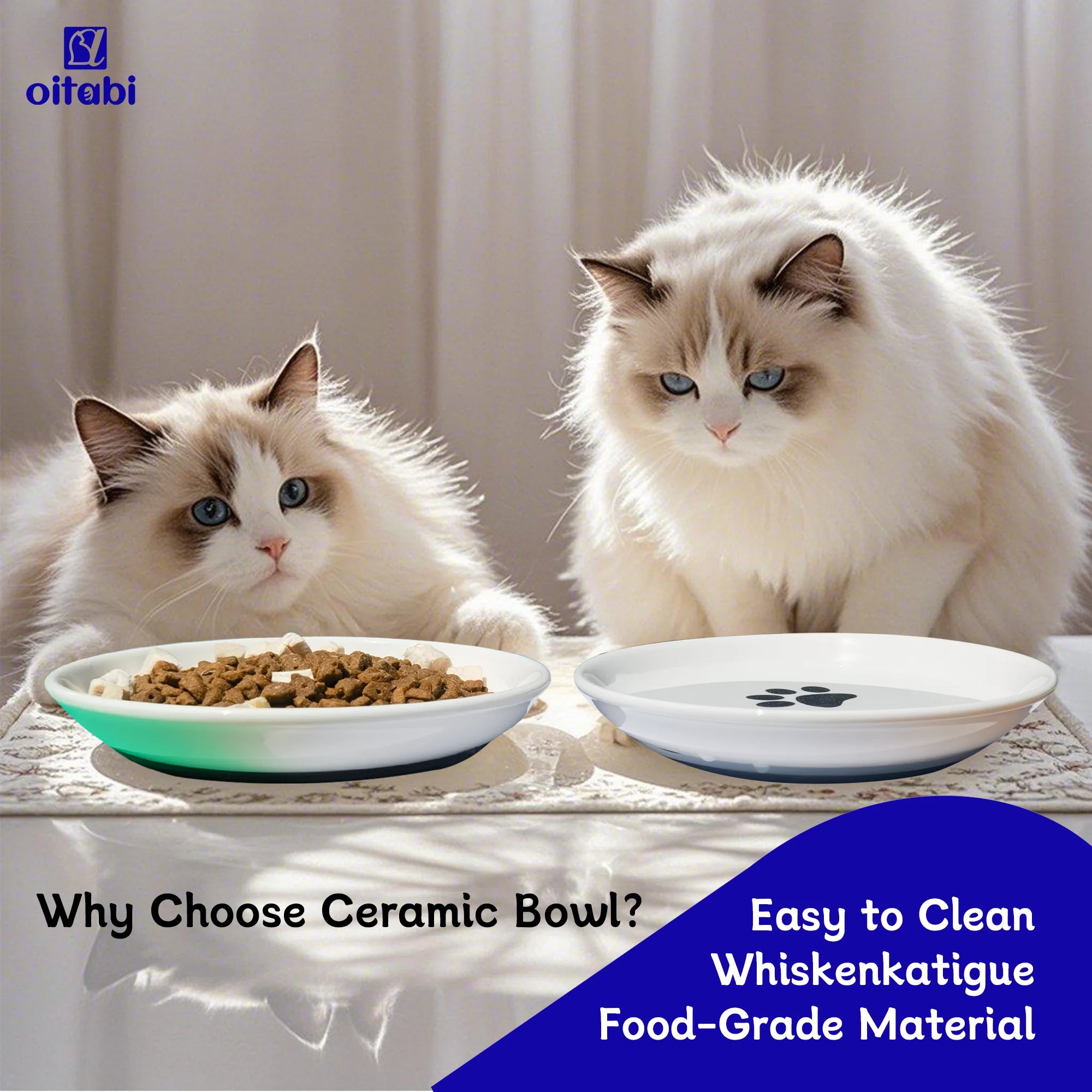 Oitabi 3PCS Cat Food Bowl, Ceramic Cat Bowls, Anti Whisker Fatigue Cats Bowl Set, Shallow Wide Kitten Plates for Food and Water